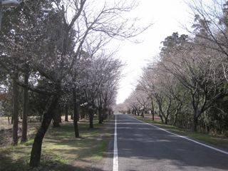 d0081650_7552854.jpg
