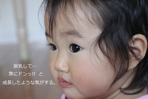 a0090451_23415246.jpg