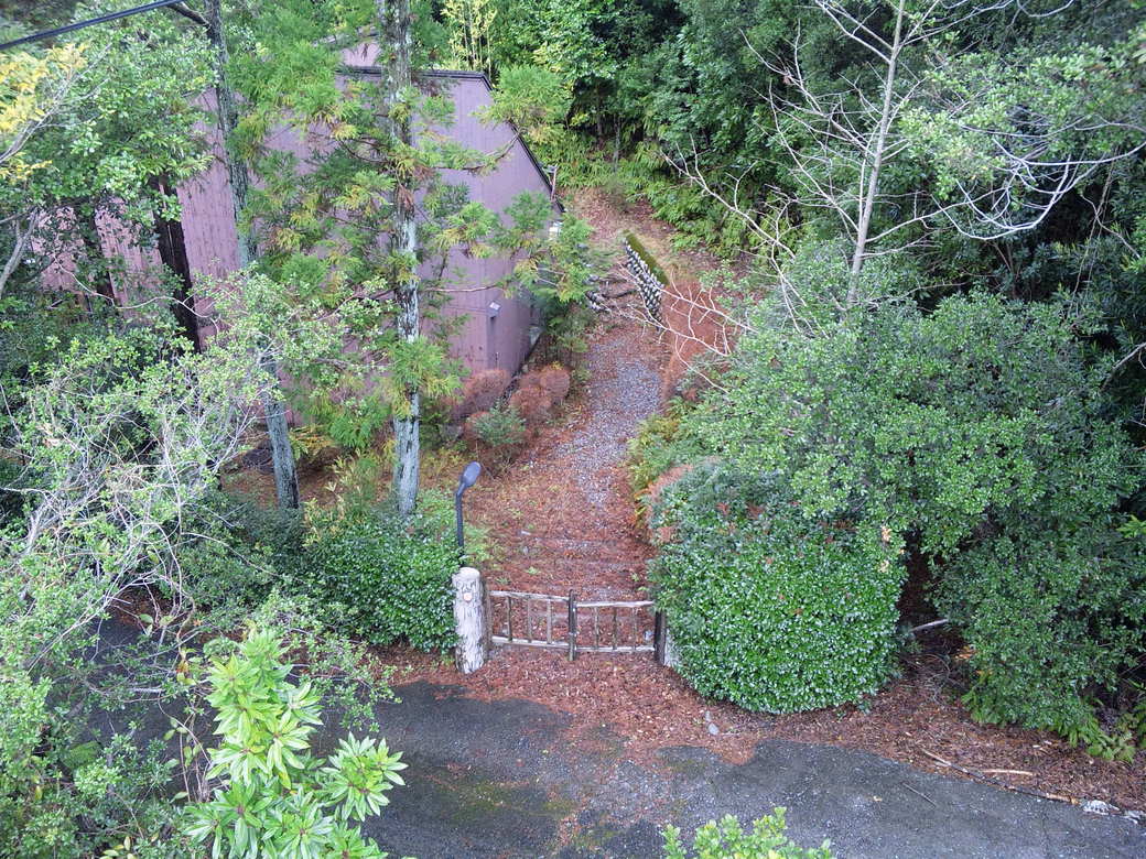 e0187567_828015.jpg