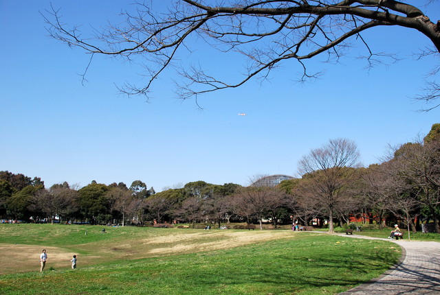 b0174068_23452629.jpg