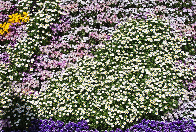 b0174068_23454773.jpg