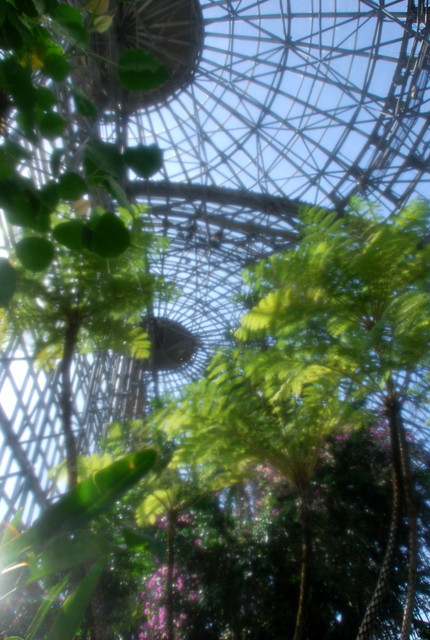 b0174068_23483059.jpg
