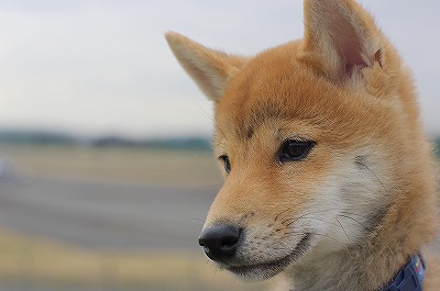 f0214771_1371369.jpg