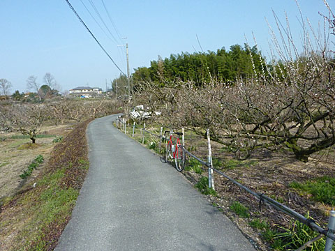 c0107075_17214844.jpg
