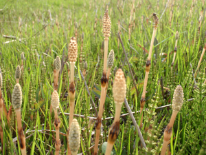 e0008880_23314979.jpg