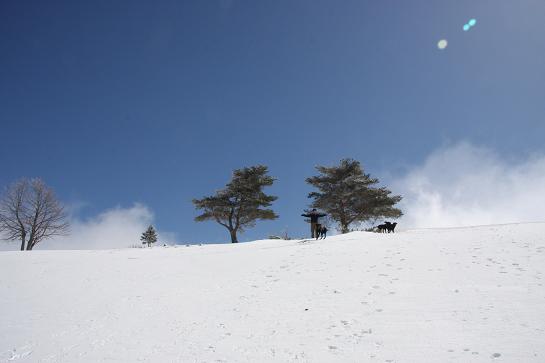 d0152182_2112295.jpg