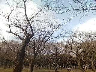 c0076383_20515044.jpg