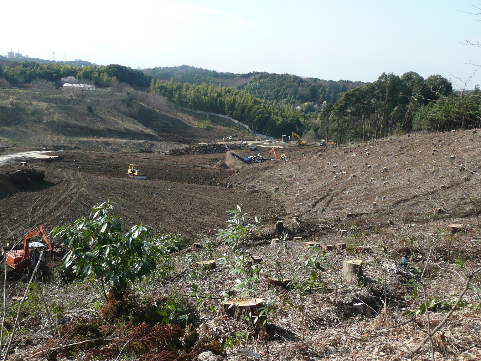 b0122485_1359362.jpg