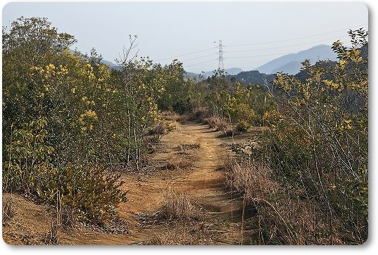 e0190885_16303563.jpg