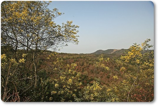 e0190885_16305086.jpg