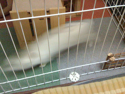 f0201191_2246206.jpg