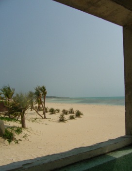 f0165392_23292931.jpg