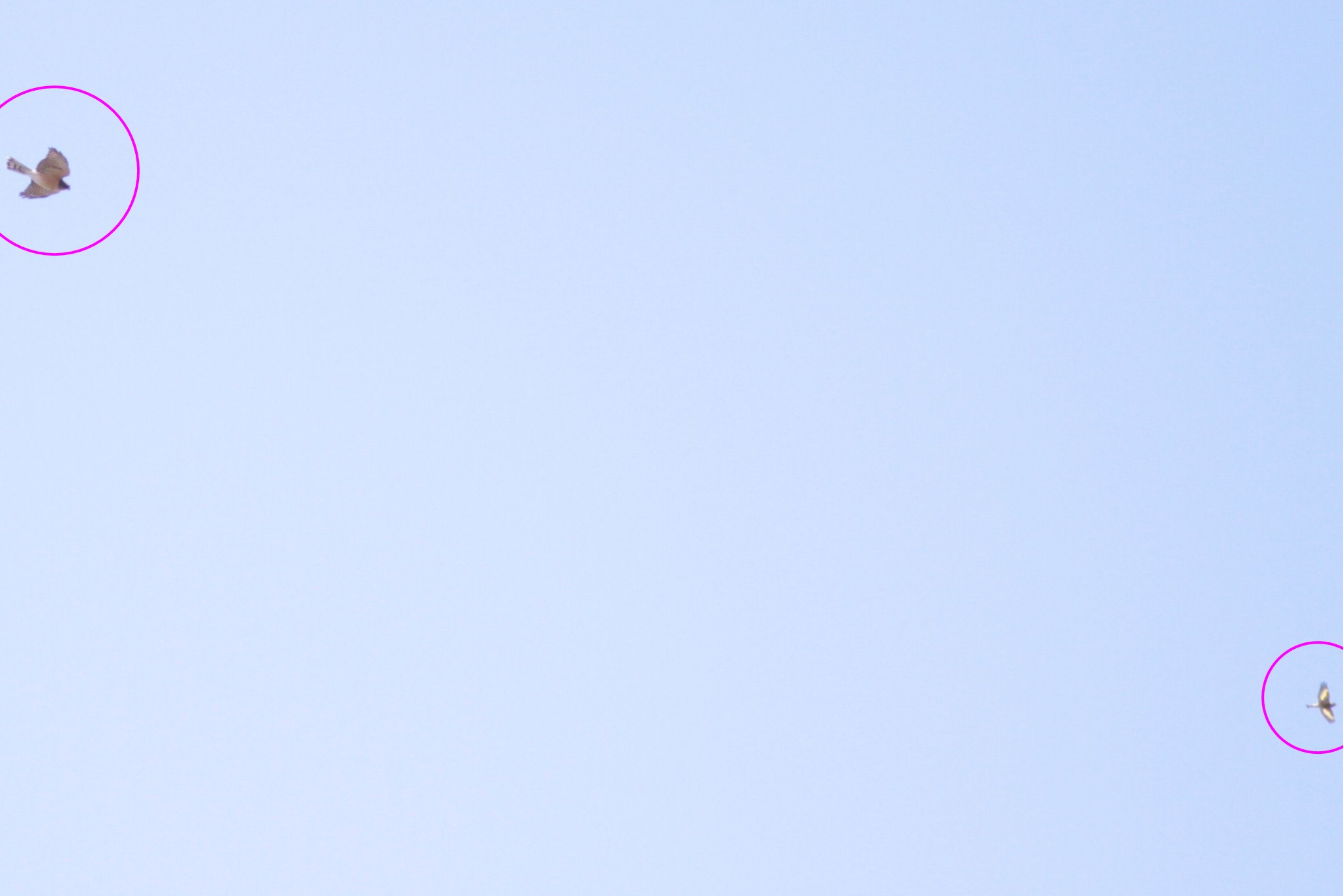 d0133693_23252417.jpg