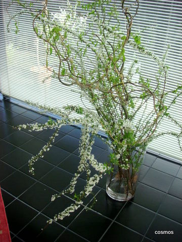 f0137694_811327.jpg
