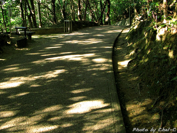 a0154706_0305228.jpg