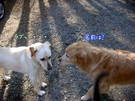 f0064906_19402073.jpg