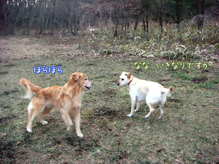 f0064906_19453435.jpg