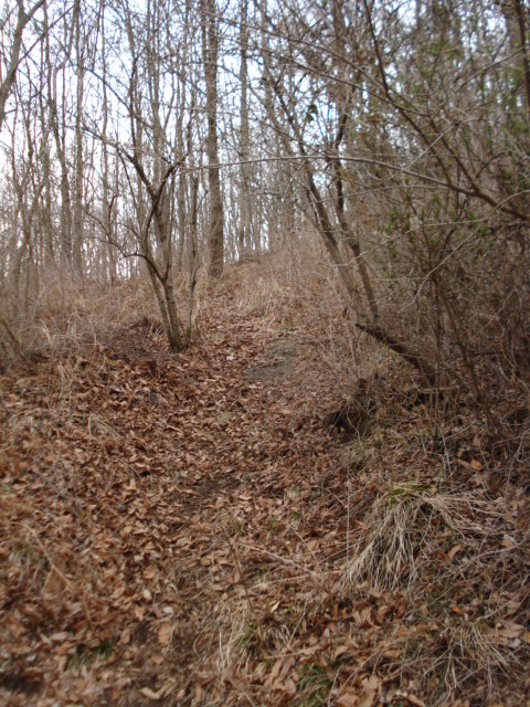e0015108_744276.jpg