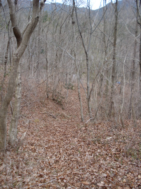 e0015108_7444384.jpg