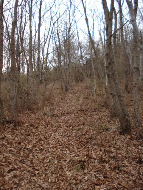 e0015108_7453322.jpg