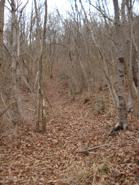 e0015108_74556100.jpg