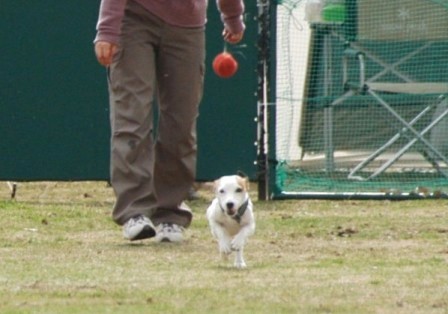e0078510_1757639.jpg