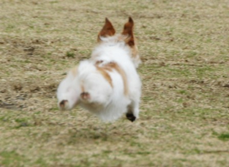 e0078510_21341414.jpg
