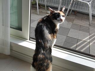 c0201113_22333438.jpg