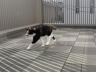 c0201113_22375845.jpg