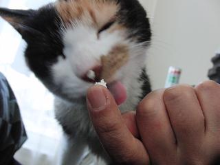 c0201113_22432210.jpg