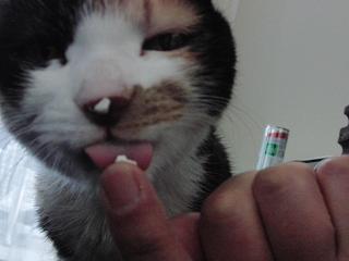 c0201113_22435488.jpg