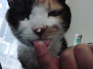 c0201113_22444266.jpg