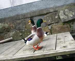 d0007913_23554569.jpg