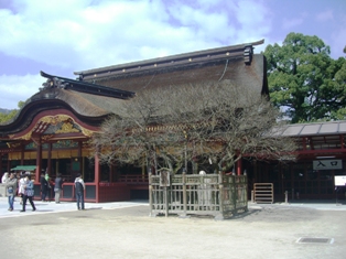 d0007913_2356326.jpg