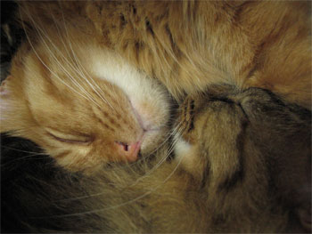 f0038819_0104159.jpg