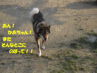 f0143123_2027103.jpg