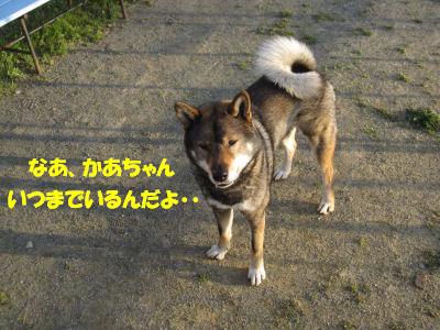 f0143123_2030249.jpg