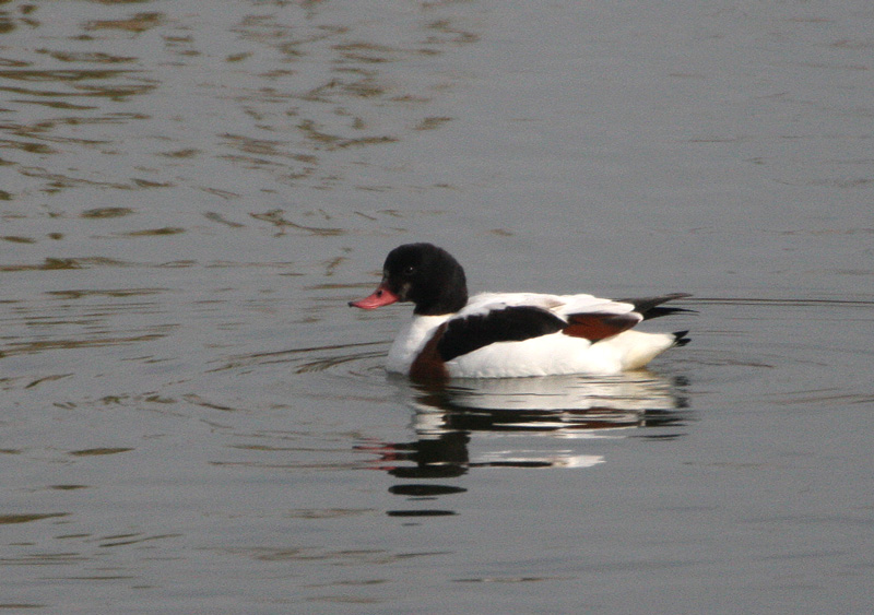 f0161823_5413093.jpg