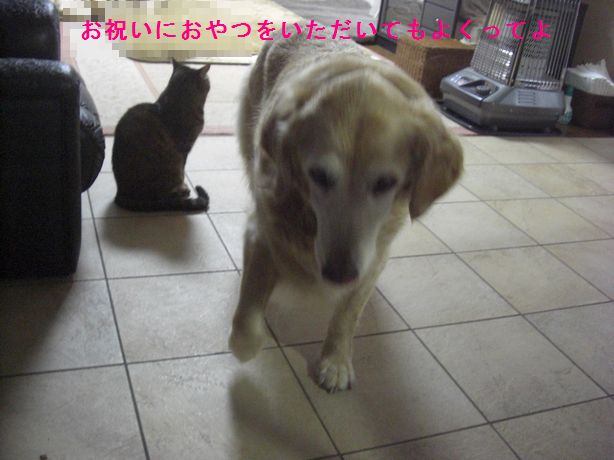 e0142430_025412.jpg