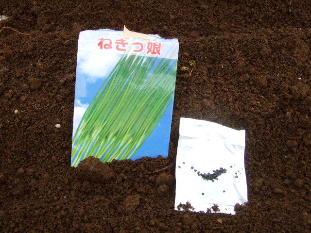 b0137932_2095687.jpg