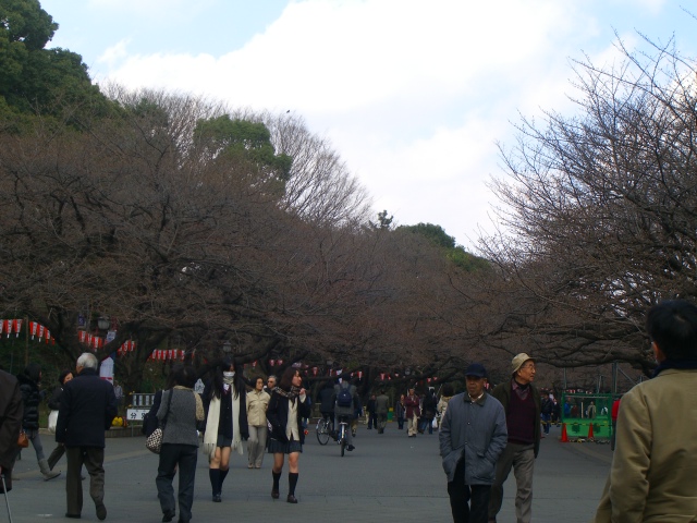 b0157532_16174796.jpg