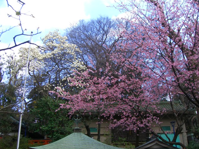 b0157532_16185943.jpg