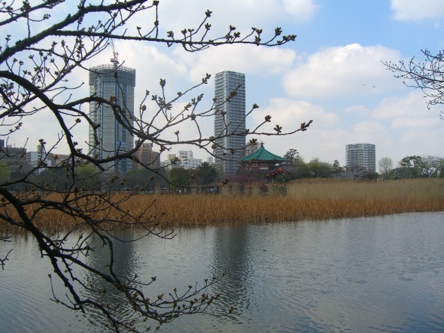 b0157532_16212356.jpg