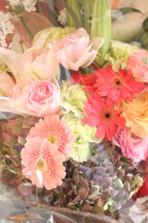 b0162732_2010186.jpg