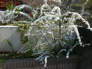 f0061334_20162875.jpg