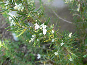 f0061334_2016347.jpg