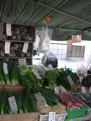 f0009451_20542793.jpg