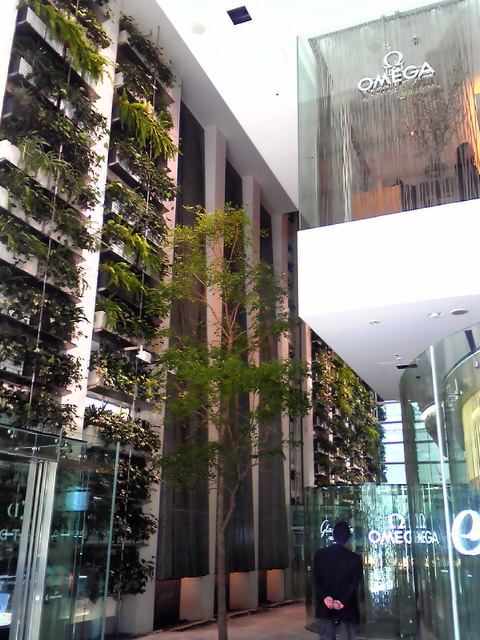c0164652_1635399.jpg