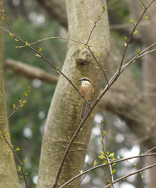 d0091754_19923.jpg