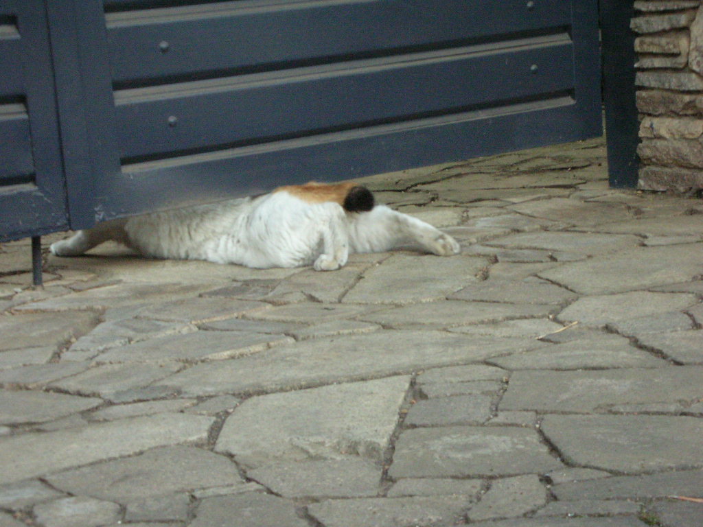 c0228356_22533061.jpg